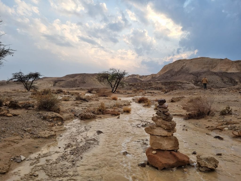 ערוץ נחל זורם במדבר לאחר גשם, אבני דרך - רוג'ום - ועצים דלילים על רקע גבעות מדבריות